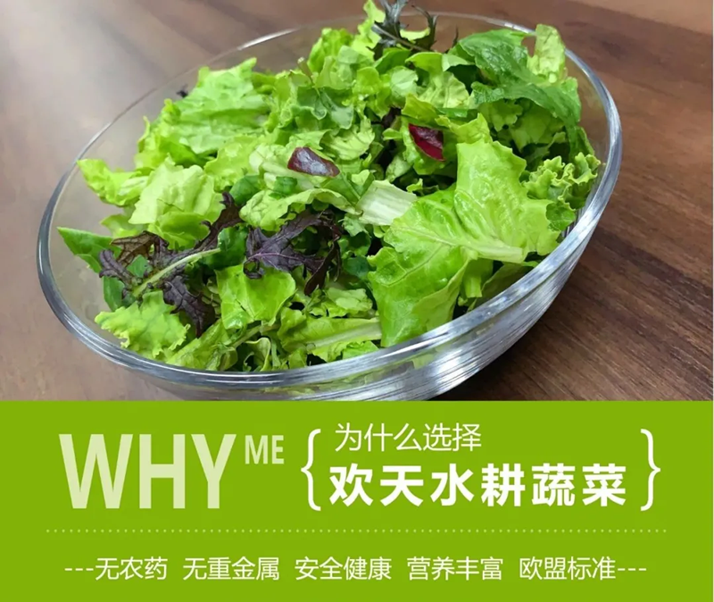&#38134;&#27827;&#28216;&#25103;&#24179;&#21488;&#97;&#112;&#112;&#40;&#23448;&#26041;&#32593;&#31449;&#41;&#32;&#45;&#32;&#65;&#80;&#80;&#19979;&#36733;&#73;&#79;&#83;&#47;&#23433;&#21331;&#47;&#20840;&#31449;&#36890;&#29992;&#29256;