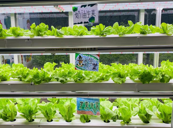 &#38134;&#27827;&#28216;&#25103;&#24179;&#21488;&#97;&#112;&#112;&#40;&#23448;&#26041;&#32593;&#31449;&#41;&#32;&#45;&#32;&#65;&#80;&#80;&#19979;&#36733;&#73;&#79;&#83;&#47;&#23433;&#21331;&#47;&#20840;&#31449;&#36890;&#29992;&#29256;